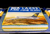 A380 Cake