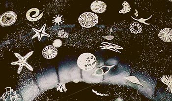 A Walk on the Beach, 1995 – 1998 - MIA's Art in Public Places