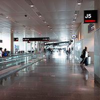 Terminal Projects