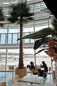 South Terminal Food Court